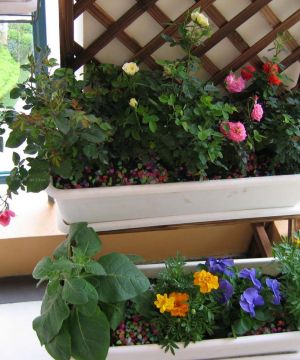 最新简单小阳台美式花园装修图片大全