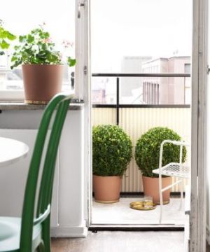 阳台装修设计盆栽植物效果图片